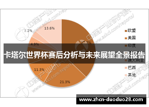 卡塔尔世界杯赛后分析与未来展望全景报告