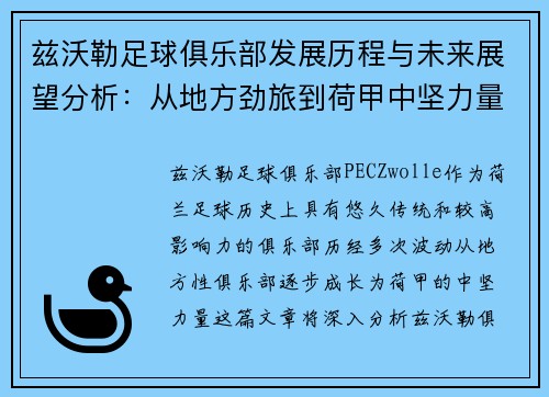 兹沃勒足球俱乐部发展历程与未来展望分析：从地方劲旅到荷甲中坚力量