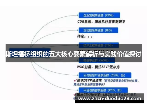 斯坦福桥组织的五大核心要素解析与实践价值探讨